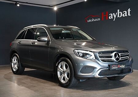 Mercedes-Benz GLC 250 4Matic Comand ILS LED-RFK-Spur-StandHzg