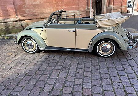 VW Käfer Volkswagen