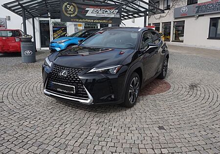 Lexus UX 250h Style Edition