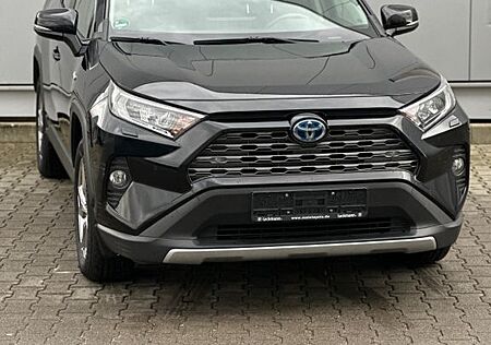 Toyota RAV 4 RAV4 Hybrid 4x4 Team D/Navi/AHK/Technik