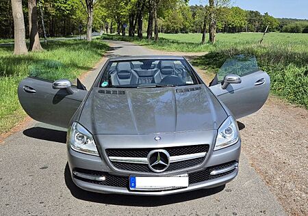 Mercedes-Benz SLK 200 -BlueEFFICIENCY Roadster