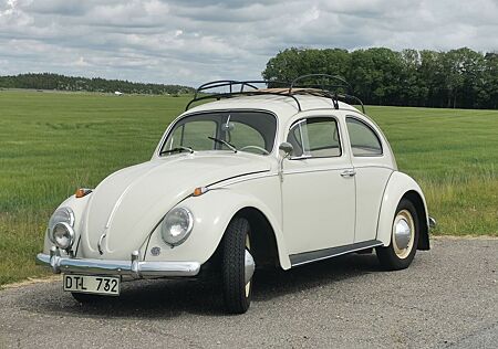 VW Käfer Volkswagen