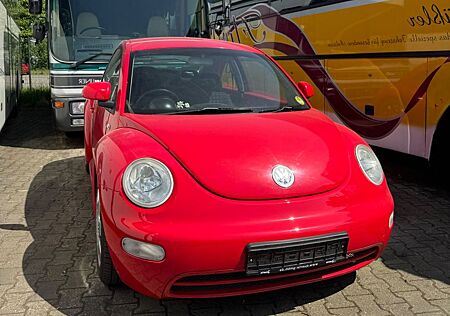 VW Beetle Volkswagen