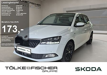 Skoda Fabia DSG Best of Navi Pani SHZ SpurH LED