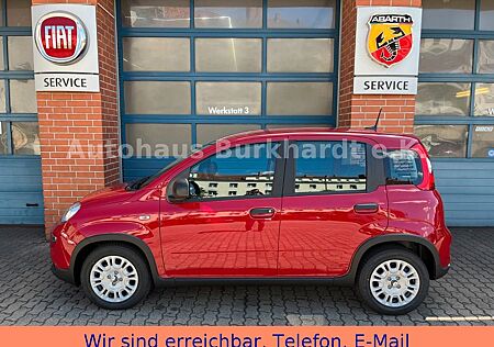 Fiat Panda MY24 - Klima/Parksensoren