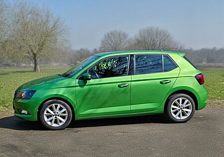 Skoda Fabia 1.2l TSI 81kW Joy Joy