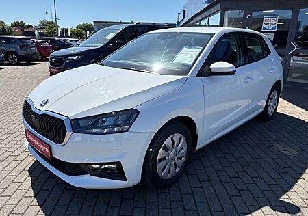 Skoda Fabia Selection 1.0 MPI SHZG PDC Klima