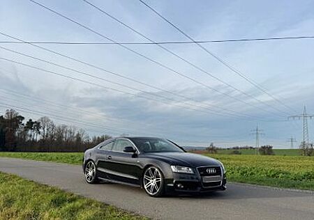 Audi A5 3.0 TDI (DPF) quattro -
