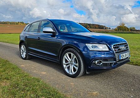 Audi SQ5 gebraucht kaufen Audi SQ5 3.0 TDI tiptronic quattro -