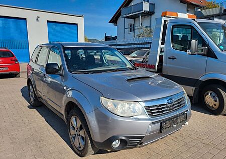 Subaru Forester Active