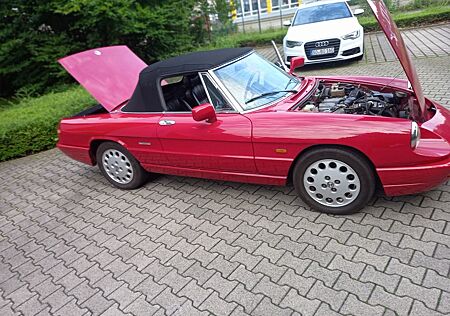 Alfa Romeo Spider