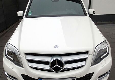 Mercedes-Benz GLK 220 CDI 4MATIC -7G-TRONIC AMG-Interieur