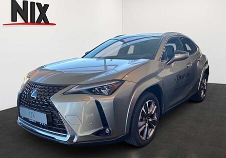 Lexus UX 300e 2.0 Hybrid Entry + Luxury-Paket + HUD