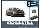 Ford Mustang Coupe Dark Horse 5.0 *NEUES MODELL* MAGN
