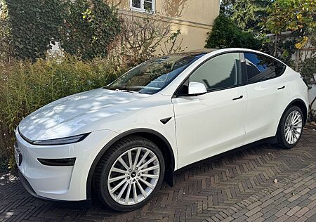 Tesla Model Y Long Range 20er WR AWD AHK Opal Juniper