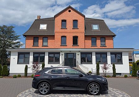 Kia XCeed Platinum PHEV LED VIRT SCC JBL SHZ+LÜ CAM