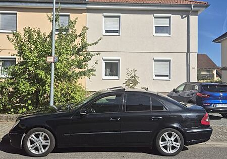 Mercedes-Benz E 300 BLUETEC ELEGANCE Autom. Elegance
