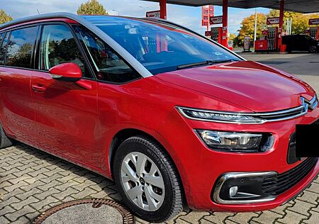 Citroën C4 Picasso gebraucht kaufen Citroën C4 Picasso /Grand Picasso/AHK/7-Sitzer