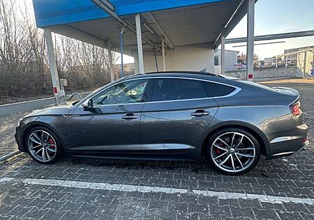 Audi S5 3.0 TFSI tiptronic quattro Sportback ohne OP
