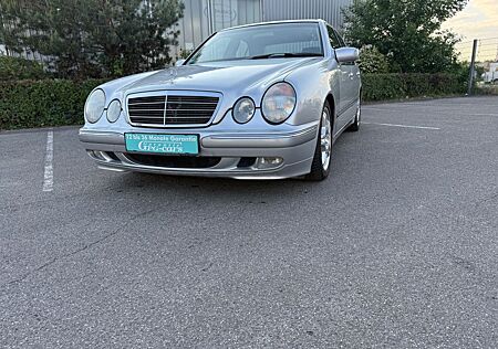 Mercedes-Benz E 240