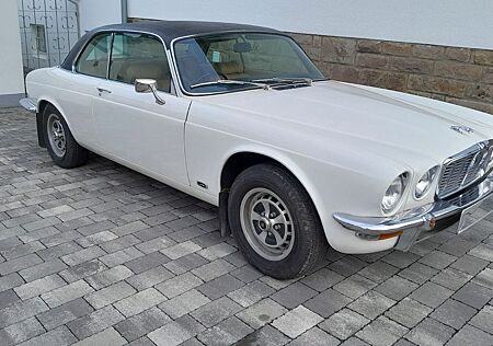 Jaguar XJ12 gebraucht kaufen Jaguar XJ12
