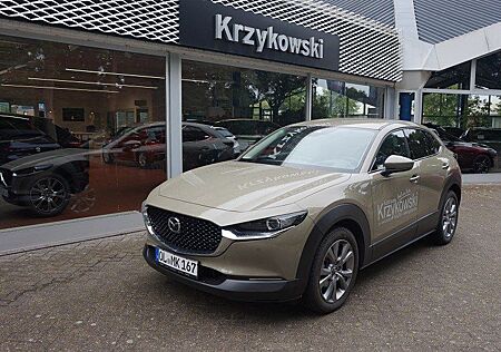 Mazda CX-30 2.5L e-SKYACTIV G 140ps FWD Takumi BLOP