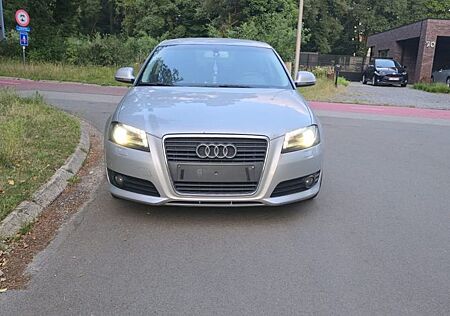 Audi A3 1.6 TDI (DPF) 77kW Ambiente