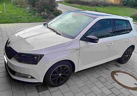 Skoda Fabia Monte Carlo 1.Hand, Top