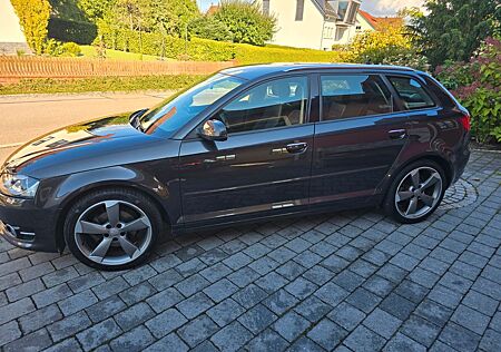 Audi A3 2.0 TDI (DPF) Ambition Sportback Ambition
