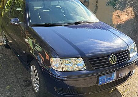 VW Polo Volkswagen 1.0 BASIS Basis