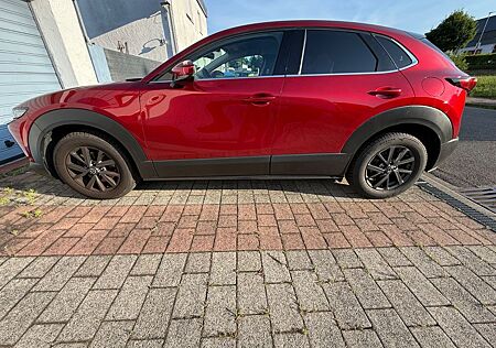 Mazda CX-30 2.0 e-SKYACTIV-X M-Hybrid -