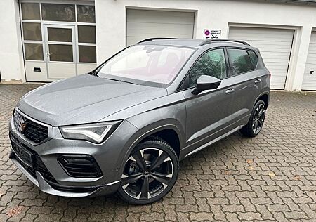 Cupra Ateca Kamera ACC Winterpaket beh Frontscheibe