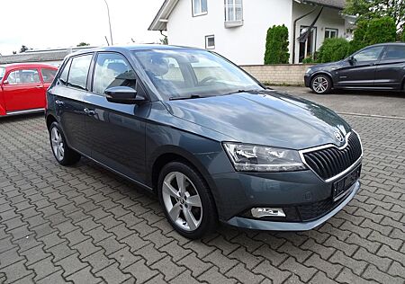 Skoda Fabia 1,0l TSI Klima, Servo, Sitzheizung