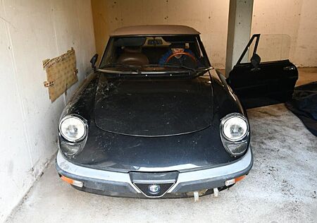 Alfa Romeo Spider