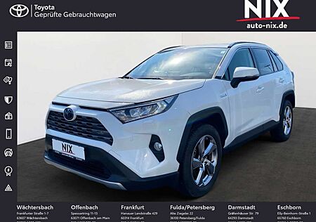 Toyota RAV 4 RAV4 Hybrid 2.5 4x4 Team Deutschland KLIMA KAMER