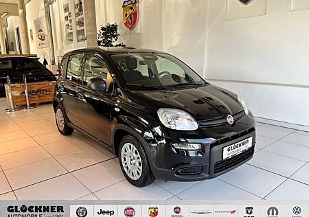 Fiat Panda Pandina