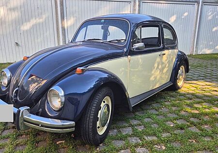VW Käfer Volkswagen