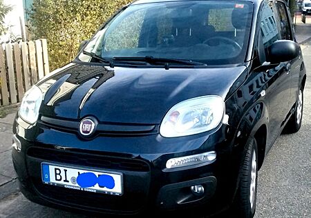 Fiat Panda 1.2 More