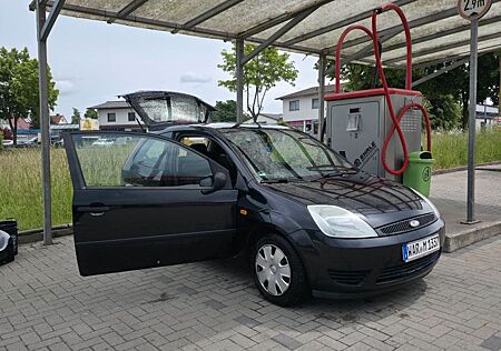 Ford Fiesta 1.3 44 kW - Tüv - Klima - Carplay