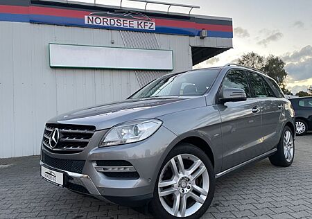 Mercedes-Benz ML 350 Sport CDI BlueTEC 4Matic Leder AMG