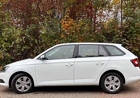Skoda Fabia gebraucht kaufen Skoda Fabia 1.0l TSI 81kW Ambition Combi Ambition