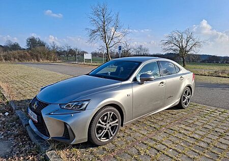 Lexus IS 300 300h F-Sport Automatik