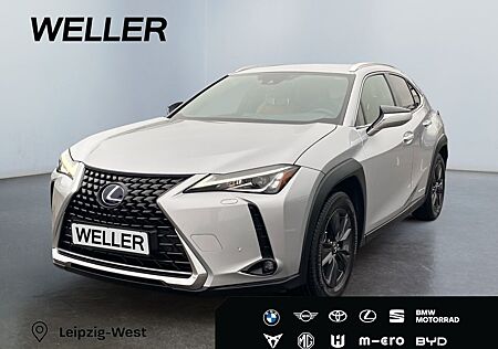 Lexus UX 250h Amazing Edition *Kamera*SHZ*PDC*LED*TOP*