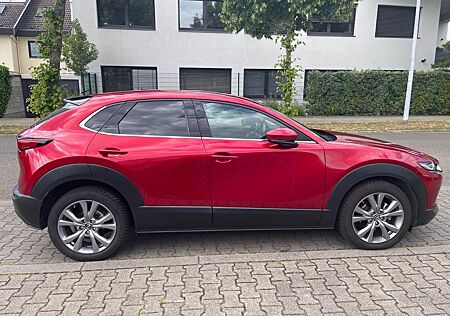 Mazda CX-30 - SKYACTIV-G 2.0 M Hybrid - 6AG Modell - M