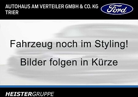 Ford Tourneo Courier gebraucht kaufen Ford Tourneo Courier 1.0 EcoBoost ACTIVE