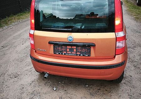 Fiat Panda TÜV neu