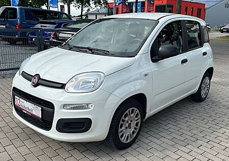 Fiat Panda 1.2 Easy Klima 1. Hand S-Heft TÜV-Neu