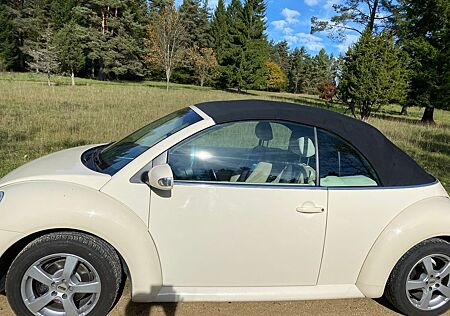 VW Beetle Volkswagen Cabrio
