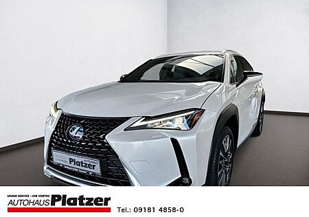 Lexus UX 250h Leder LED Apple CarPlay Mehrzonenklima L