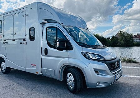Fiat Ducato Pferdetransporter 5Sitzer ATM Edition
